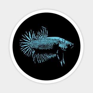 Betta - Light Blue Magnet